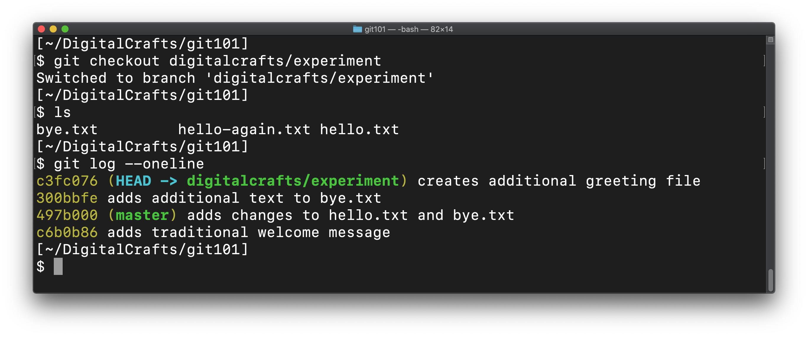 After checkout, ls and git log show the correct state of experimental branch