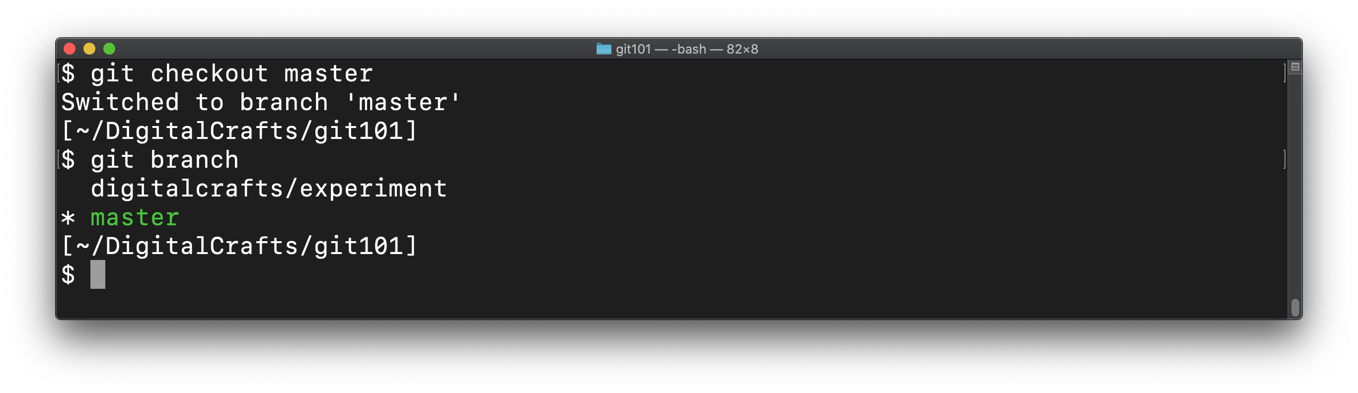 git branch showing that master is the active branch
