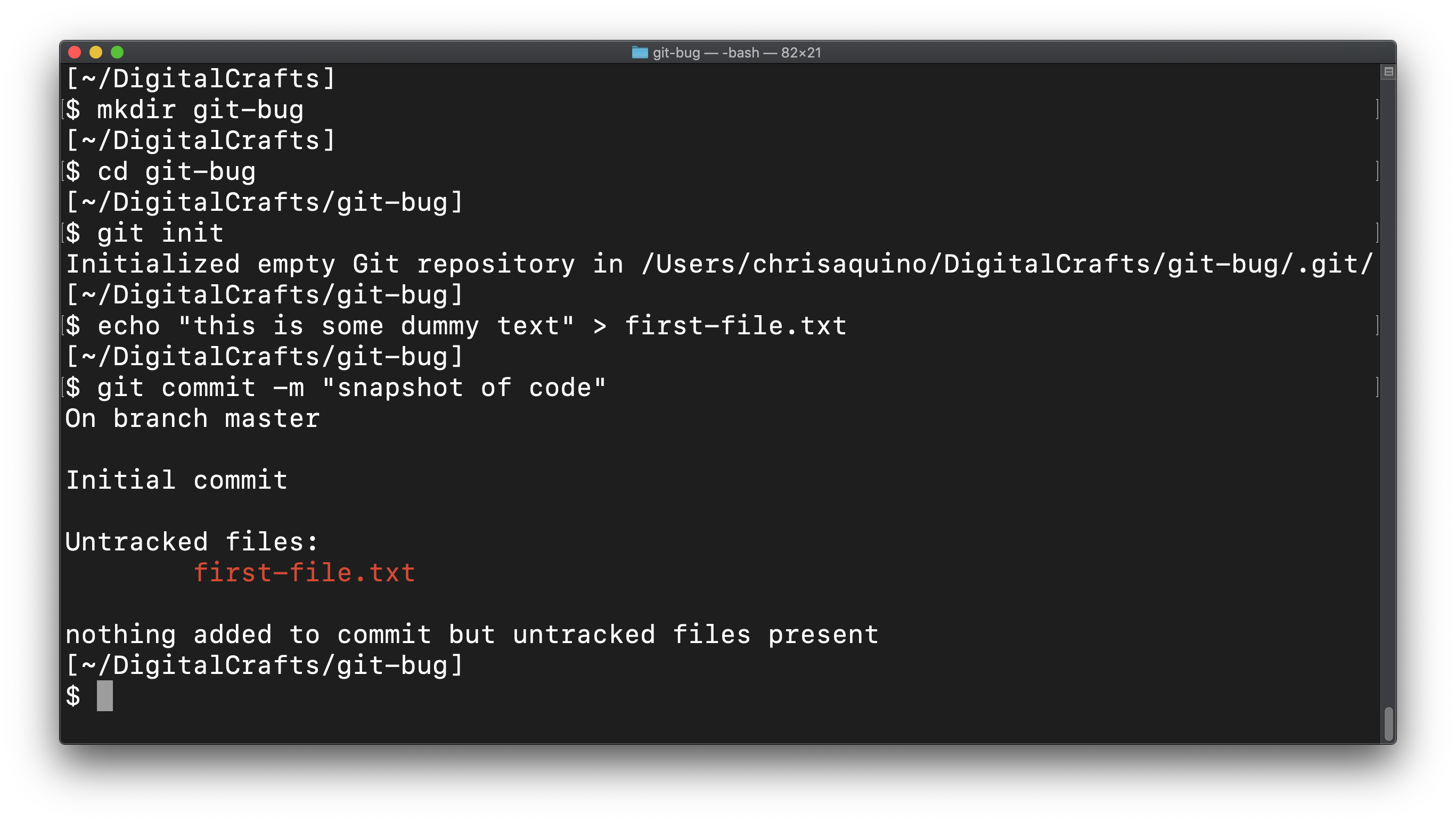 Terminal showing nothing comimtted