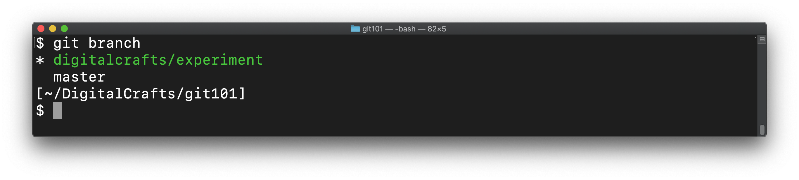 git branch with asterisk next to digitalcrafts/experiement