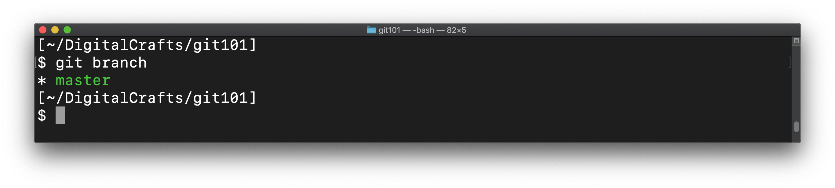List showing the master branch