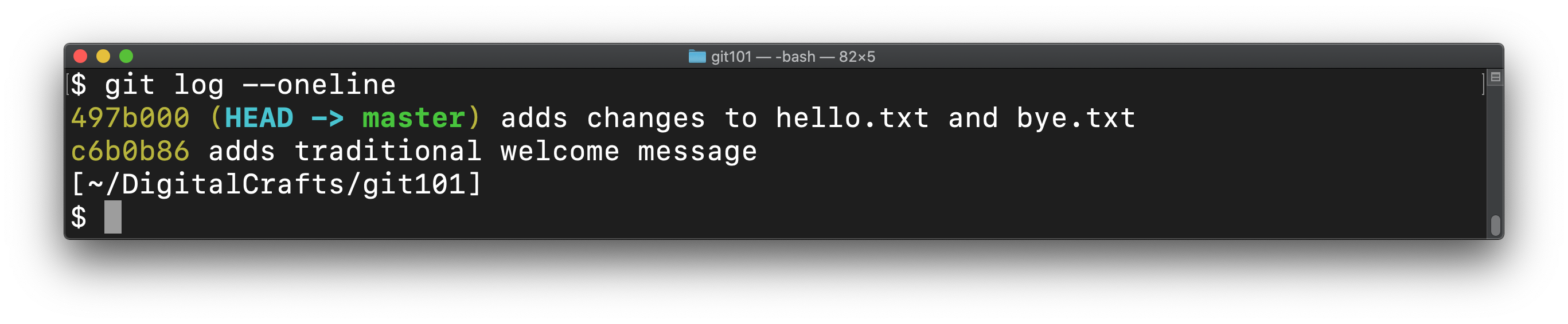 The git log, with one line per commit