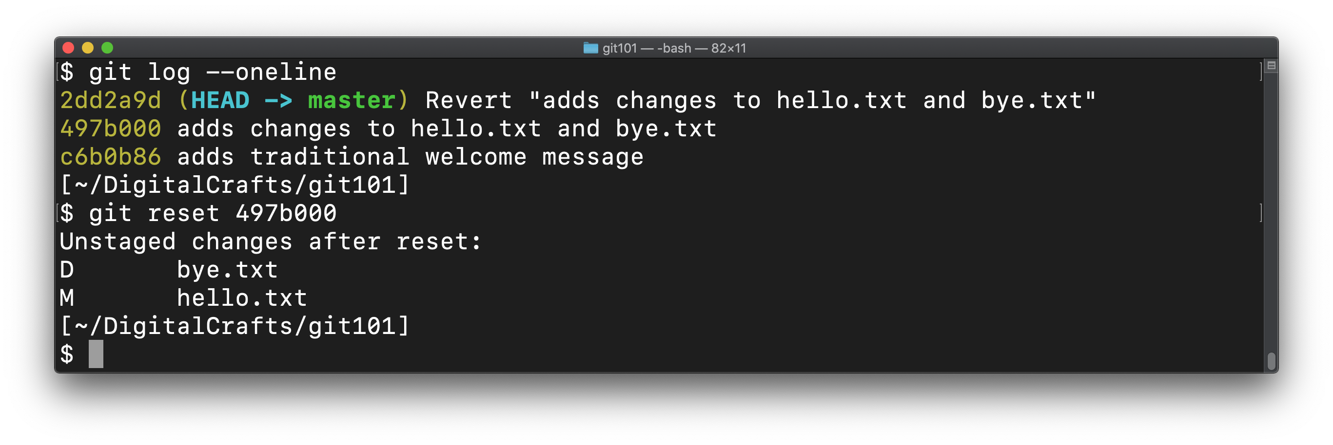 Output from running git reset