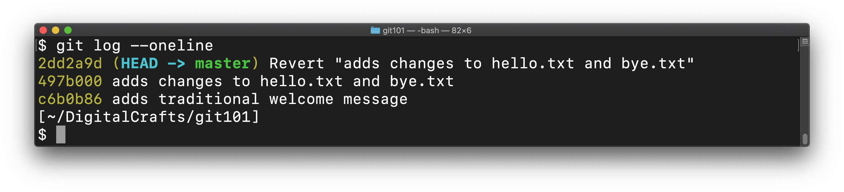 Output of git log after doing revert