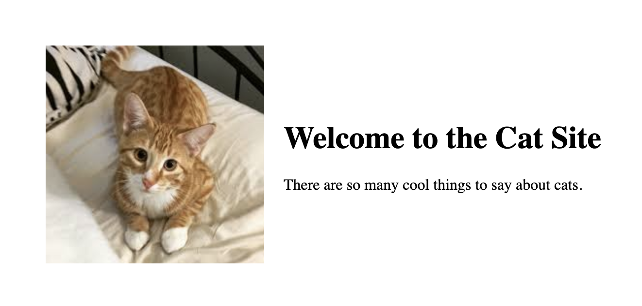page-layout-animation-preview