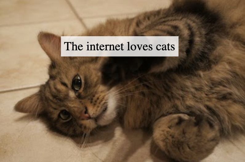 text-over-image-preview